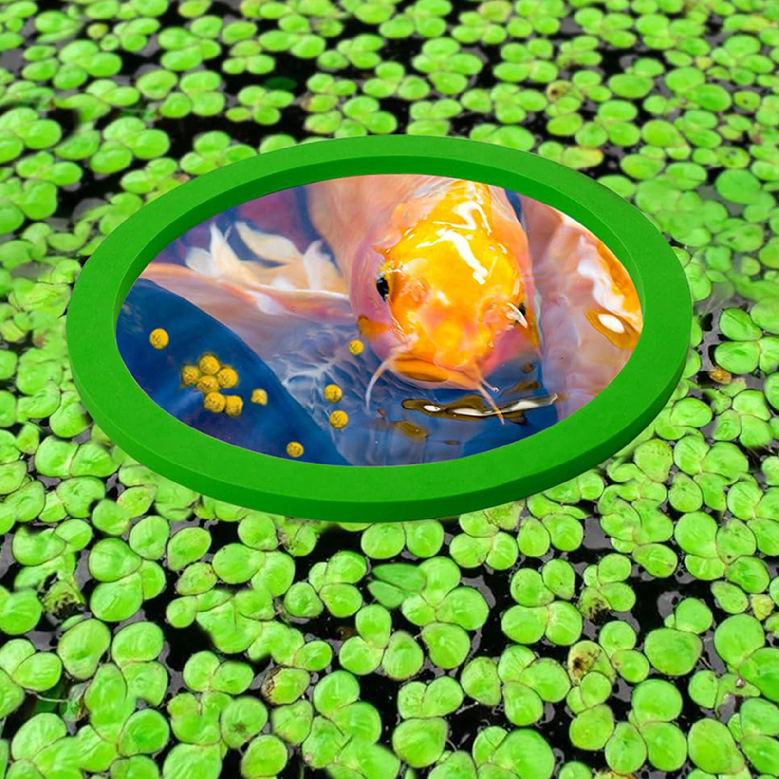 Fish Tank Grass Blocking Rings Set, Fish Tank Floating Plant Rings, Aquarium Floating Plant Trough, for Fish Tank Accessoies