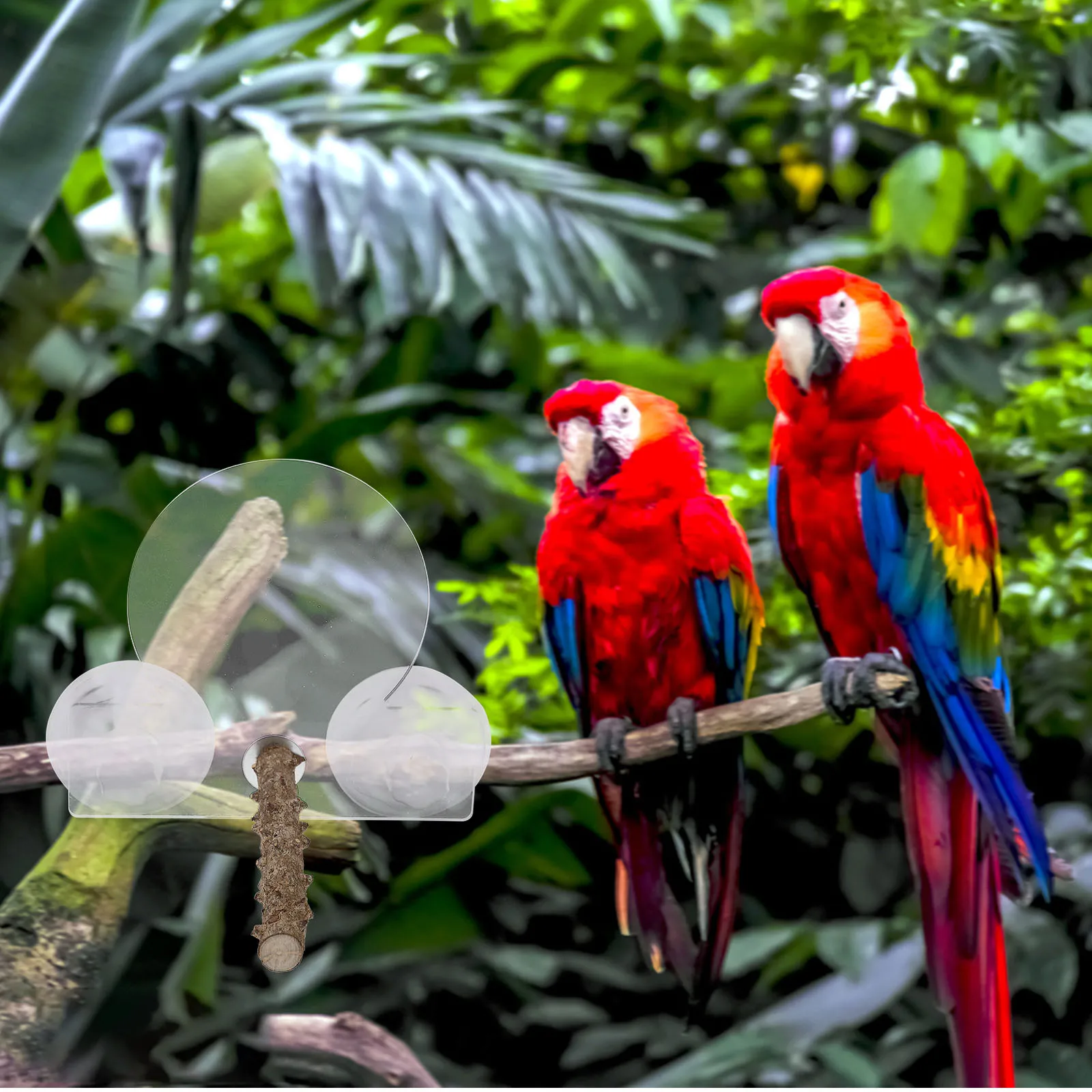 

1Set Bird Stand Rod Suction Cup Parrot Perch Balance Rack for Window Wall Door Bird Biting Stick Parakeet Training Branches