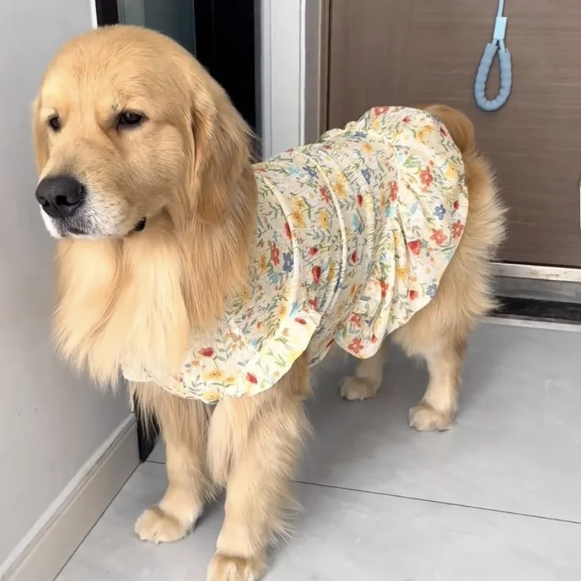 Roupa para Cães: Vestido Fino de Verão Estilo Saia de Princesa para Cães Grandes (Golden Retriever, Samoyed, Labrador, Alaska...