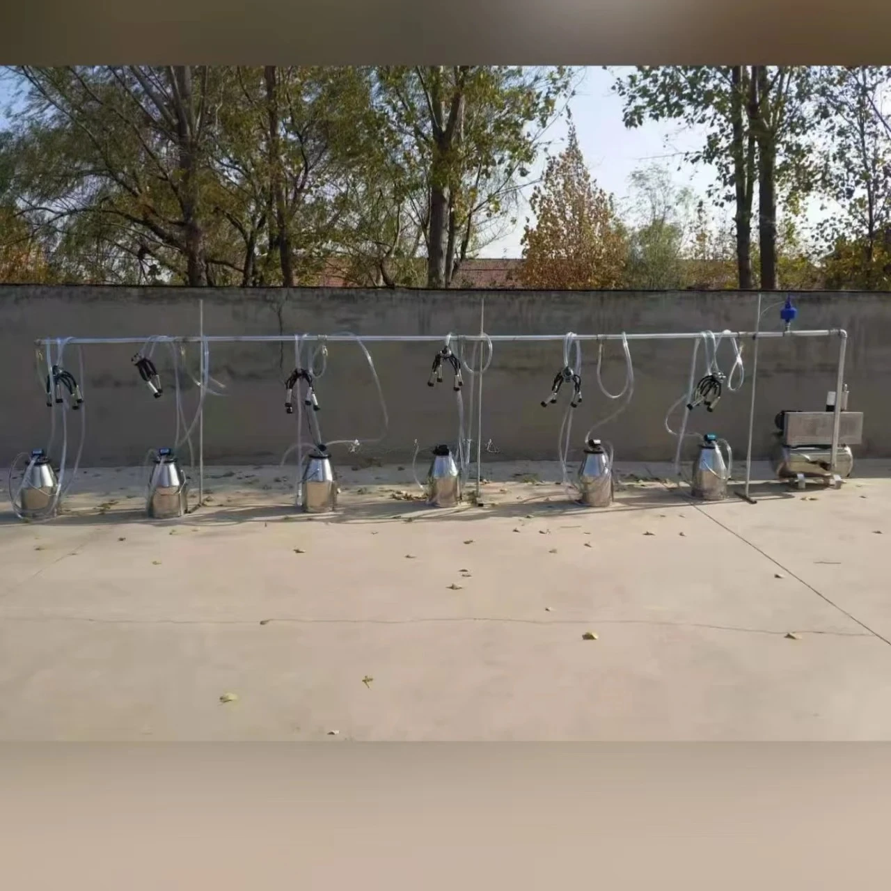 

oline Cow Milking Machine 6 Cows Same Time Electric Milker Machine with 25L Stainless Steel Bucket Milk Machine for Cows