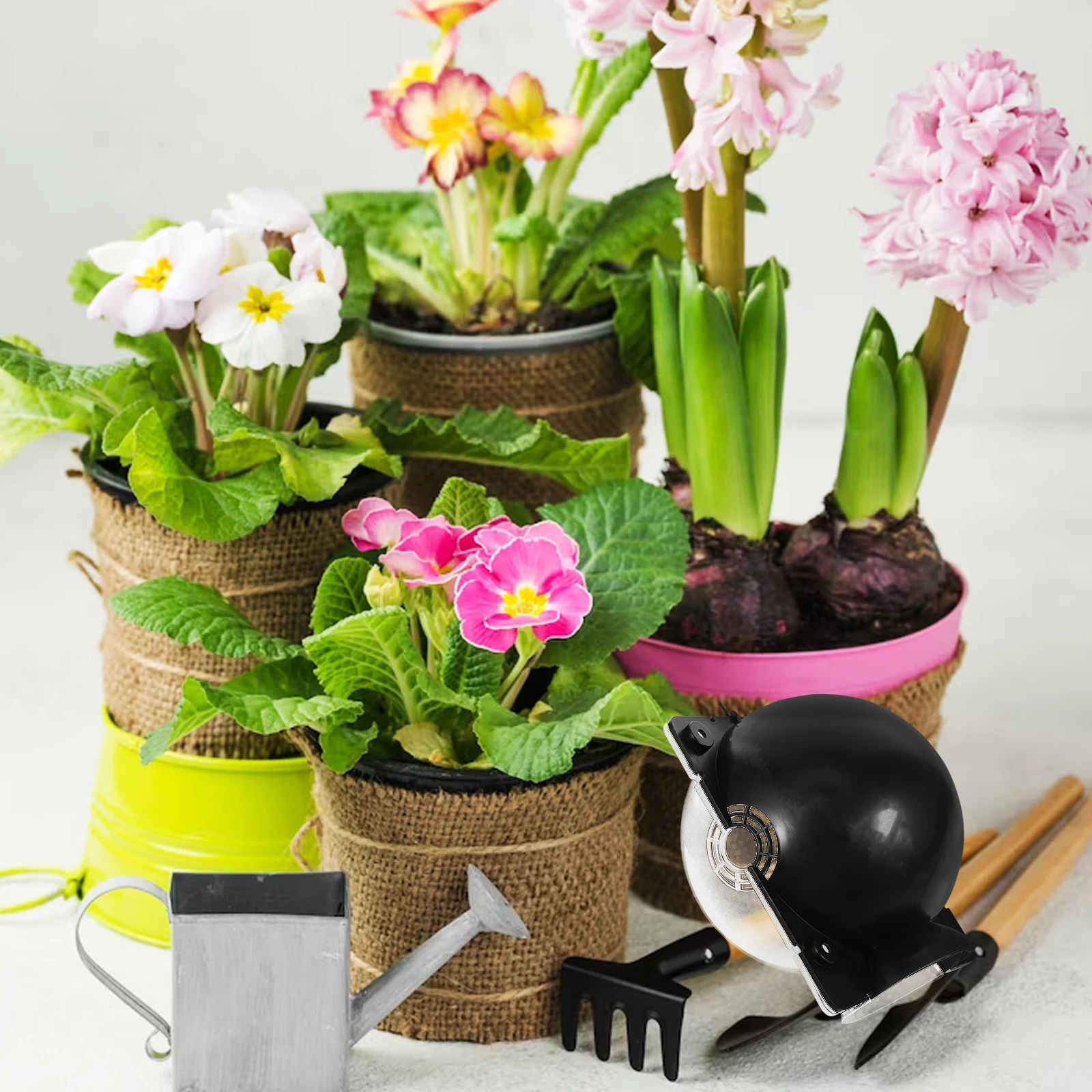 

Root Propagation Box for Plant Tree Grafting Growing Strong Roots Lightweight Durable Plastic Garden Tool Compact Size Easy to