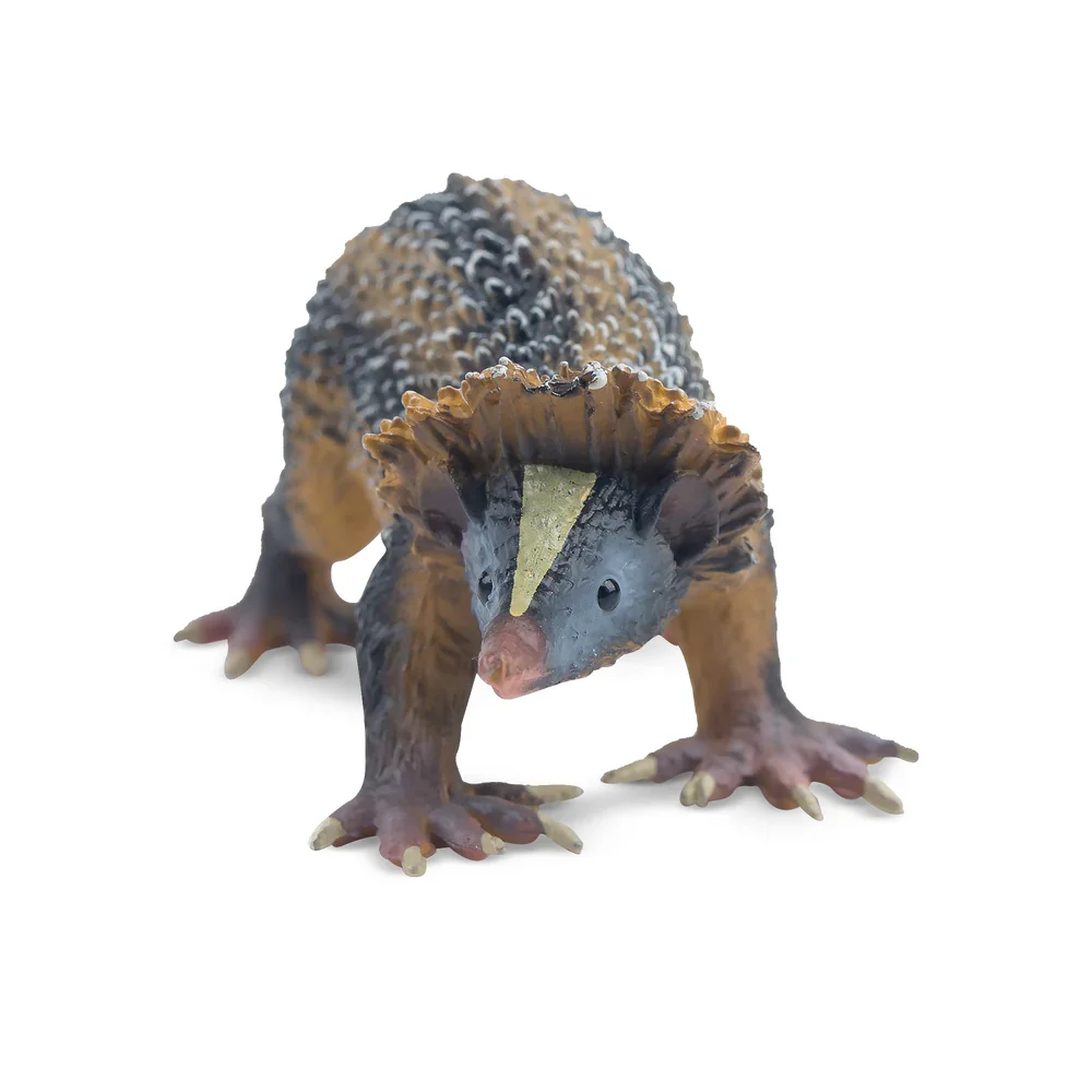 Toymany محاكاة لولاند مخطط Tenrec مدغشقر نماذج للحيوانات لعبة شخصيات صغيرة دمى عمل التماثيل لعبة الأطفال Gife Cak