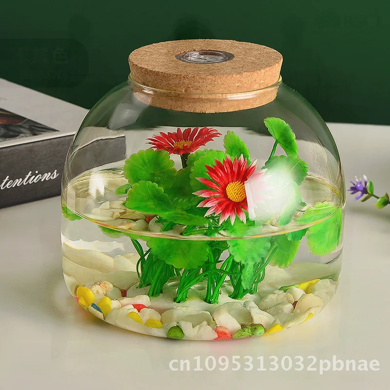 

Ecological Micro Landscape Bottle Moss Plant Glass Vase Hydroponic Fleshy Plant Bottle Fish Tank with Lamp Handmade High