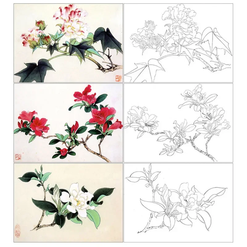 Yu Zhizhen Meticulous Painting Line Draft Chinese Baimiao Line Drawing Paper Zero Based Flower Bird Painting Copying Manuscript