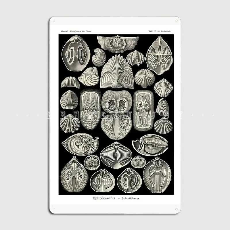 Plate 97. Spirobranchia A Group Of Extinct Brachiopods Metal Sign Wall Cave Wall Funny Poster Tin Sign Poster