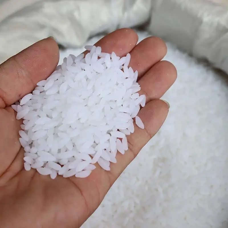 Artificial DIY Chinese Grain Model Cabinet Decoration Fake Simulation Rice Grain Multiple Colors Fake Rice Model Photo