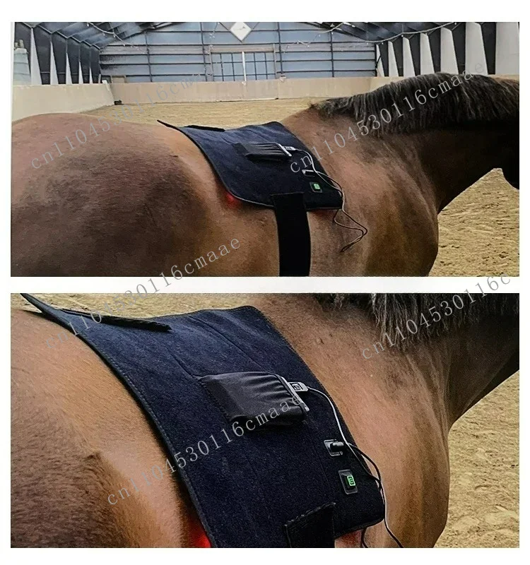 Bestselling   Horse Red Light Therapy  Equine Pet Animal 660nm 850nm Pain Relief Infrared Pad for Horse