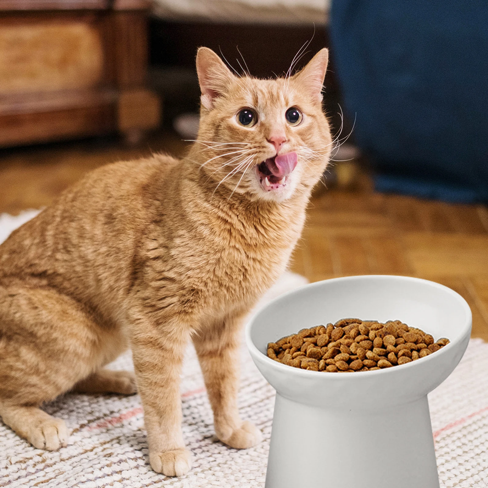 

Ceramic Cat Durable Easy Clean Feeding Kitten Puppy Pet Accessory Healthy Multi Function Kitten Bowl Safe Dog Supplies