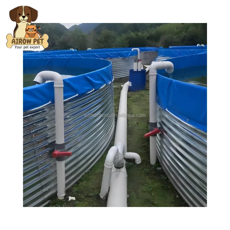 AIROW SDM Factory Direct Sale Tilapia Indoor Fish Farming Recirculating Aquaculture System Ras