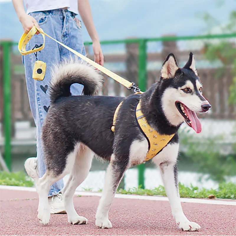 Dog Harness Collar Leash Set Adjustable Dog Collar With Bow tie Poop Bag Triangle Scarf Set For Dogs With Cute Print Pet Product