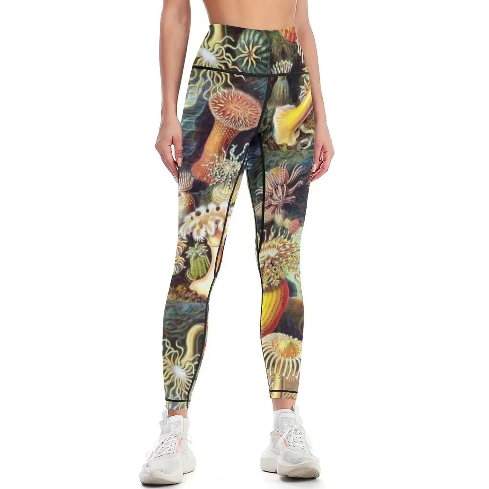 

Haeckel illustration Leggings Women's trousers for physical for fitness Women sportwear Womens Leggings
