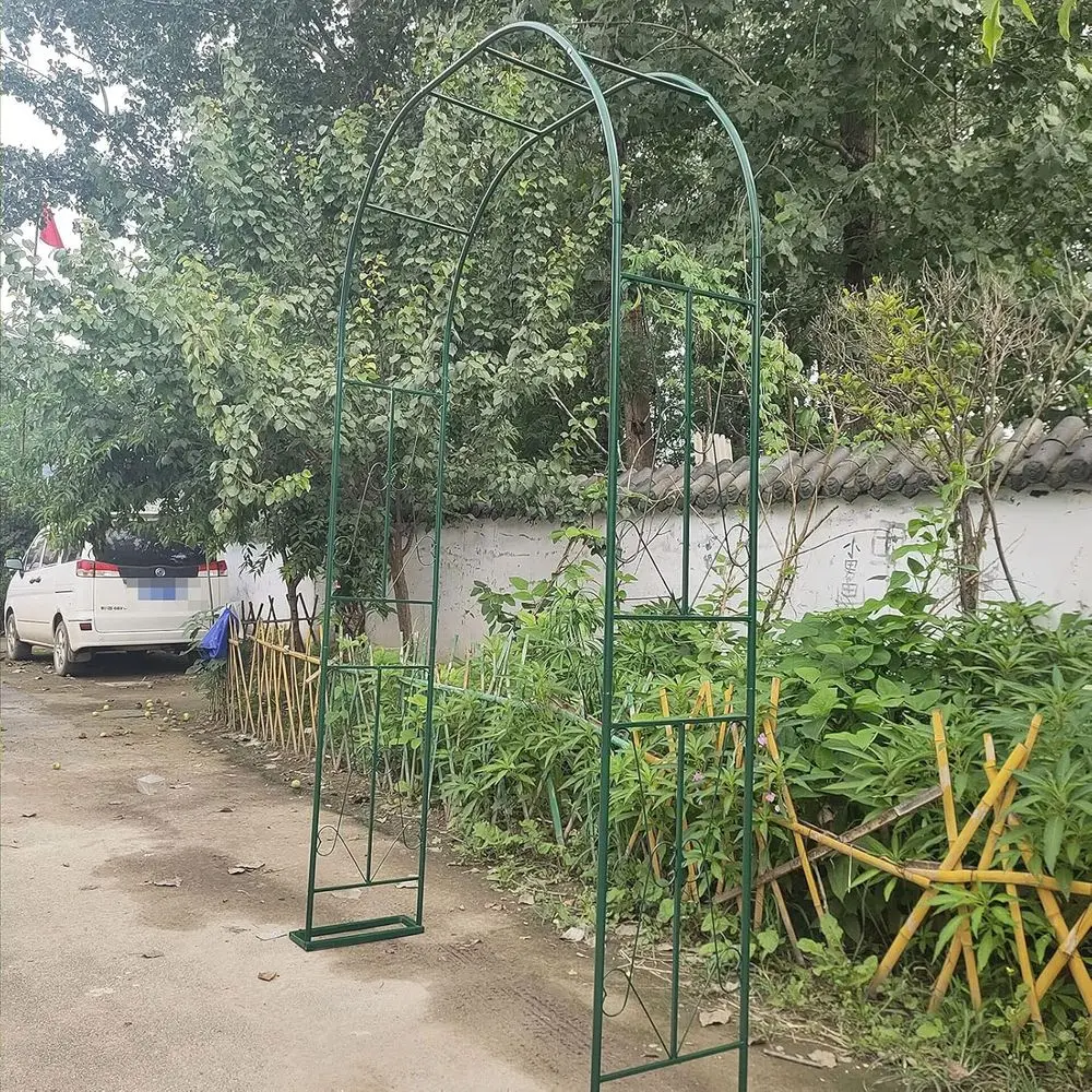 

Розовые арки, альпинисты, свадебные арки, павильи, перголы, устойчивые к атмосферным воздействиям и отдельно стоящие, декор для празднования сада и патио