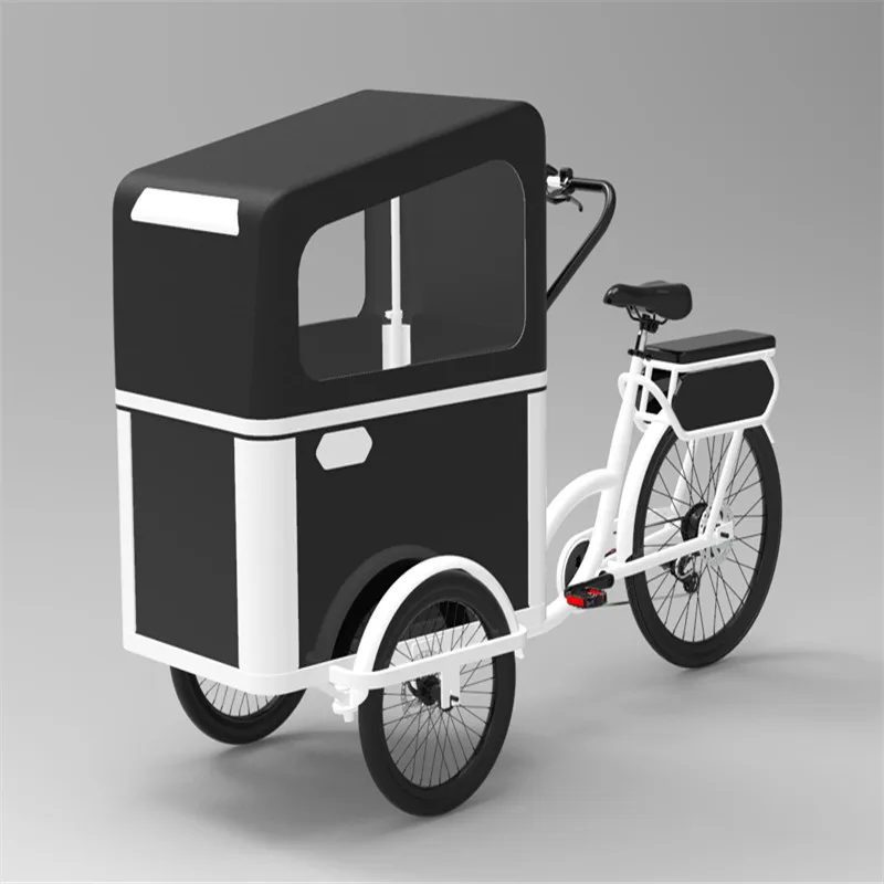 2021 New Designed Electric Or Pedal 3 Wheels Cargo Bike For Carrying Kids Or Pets For Sale