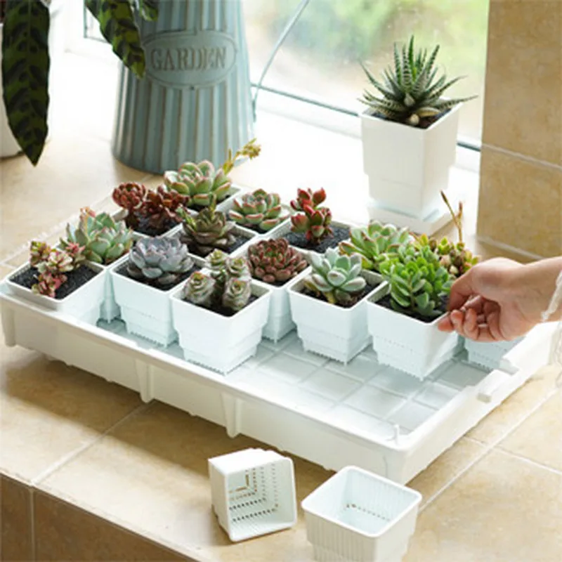 Meshpot Garden Tray Plant Tray Flower Saucer Succulent Pots with Tray for Drainage and Soaking Thick Rectangular Pallet white