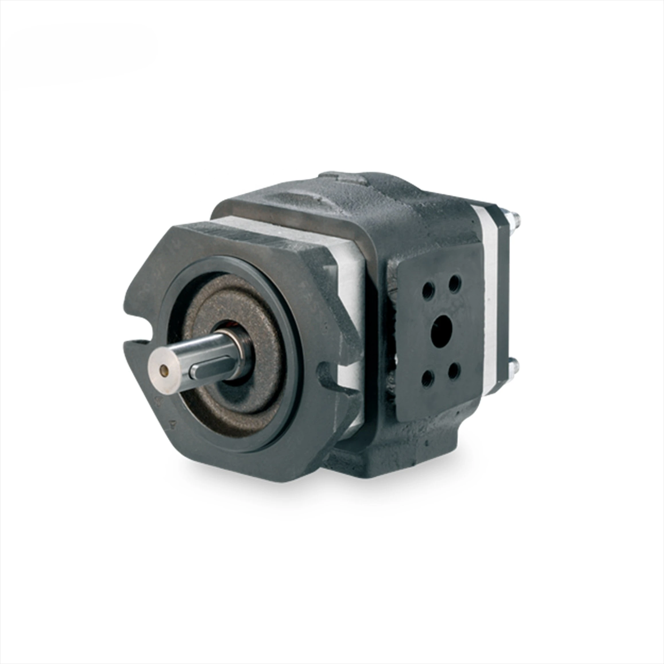 Eckerle Internal Gear Pump  EIPH6-125RK23-10 hydraulic pump