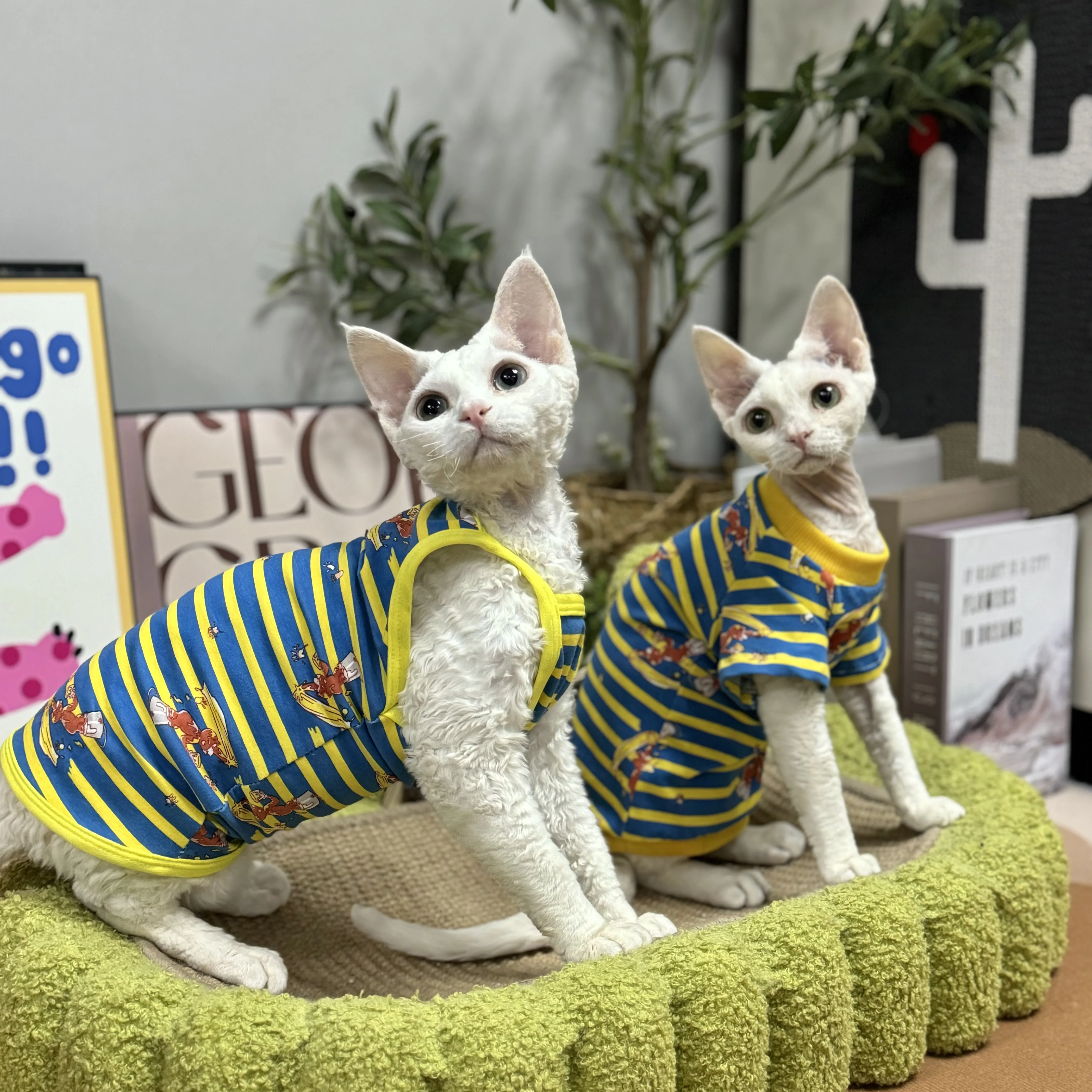 Sun-protective Clothing for Sphynx Cat in Summer Breathable Cotton Vest for Devon Rex Cartoon T-Shirt for Kittens Cat Supplies