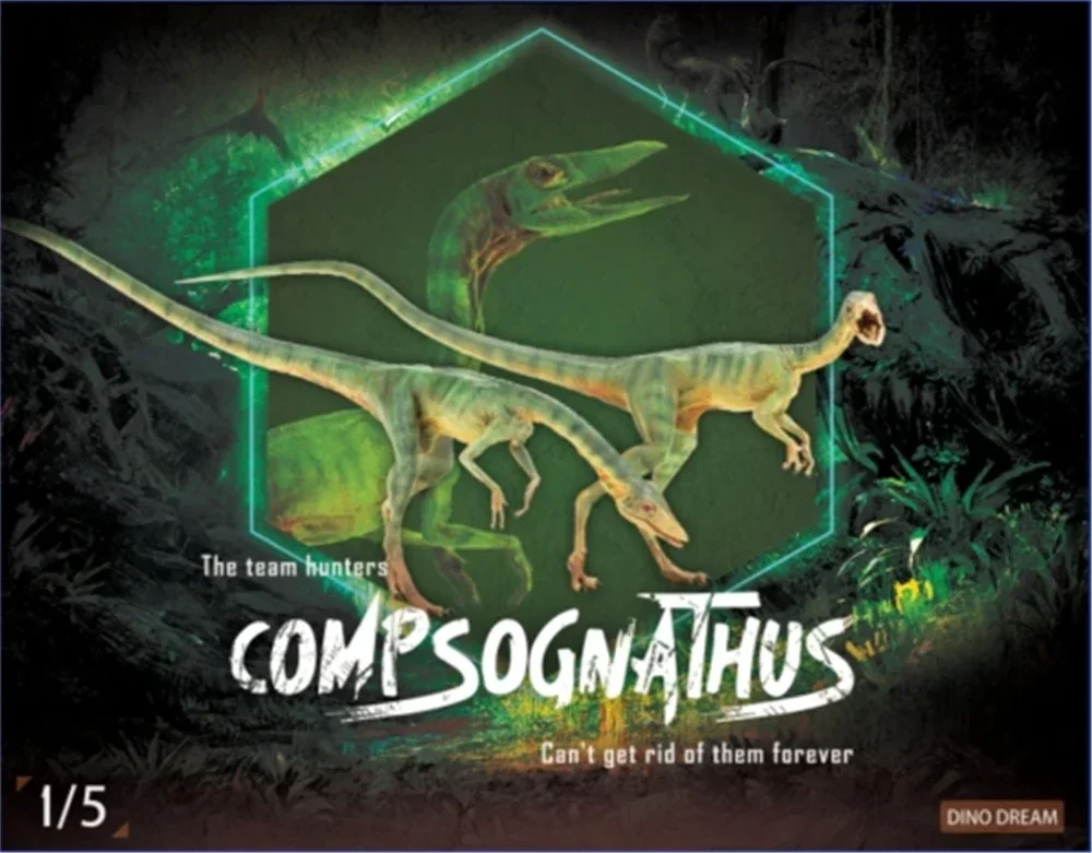 DINO DREAM 2Pcs 1:5 Scale Male Compsognathus Coelophysidae Dinosaur Model Collector Animal Adult Toy Gift