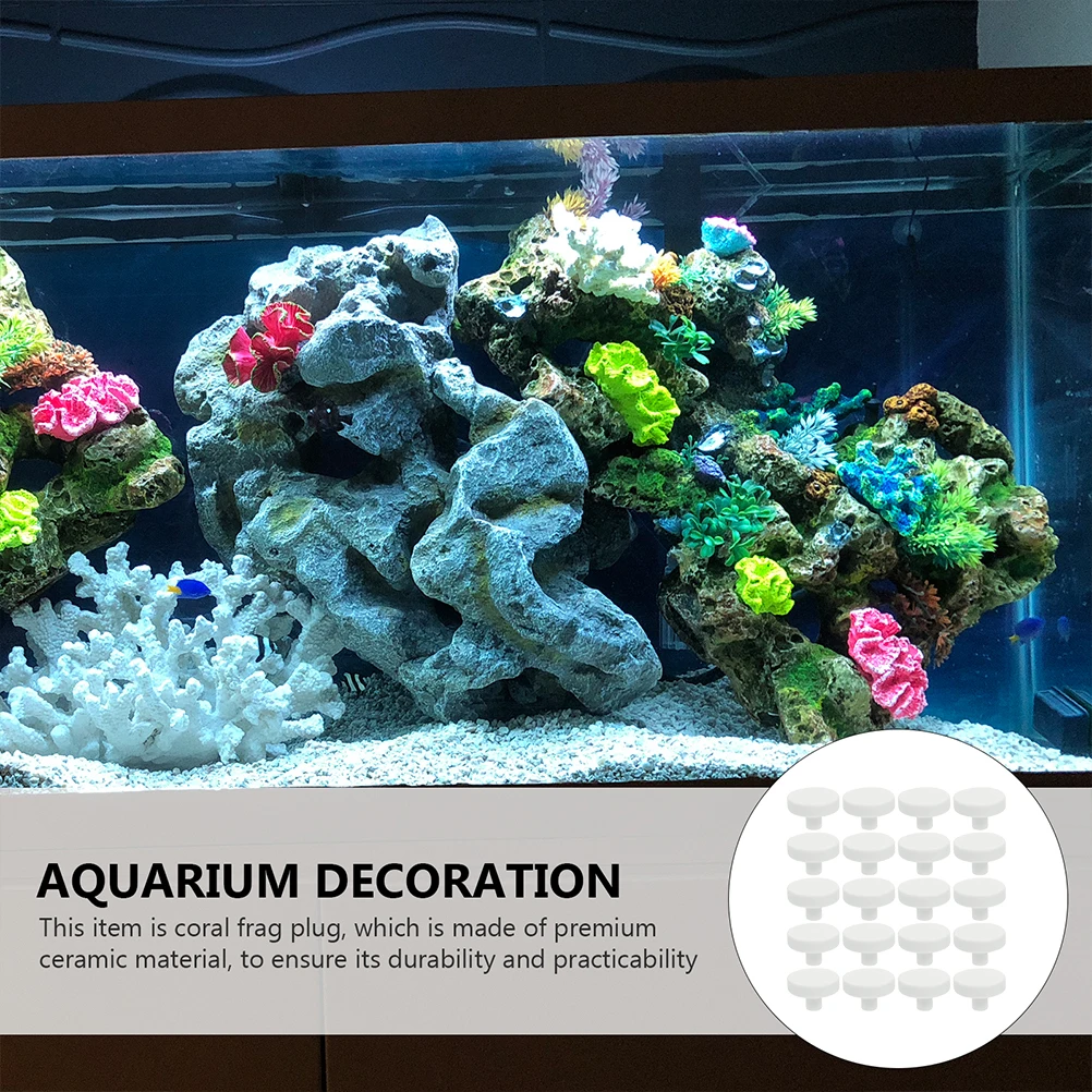 

20Pcs Coral Pedestal Tropical Fish Tank Accessories Base Plug Landscaping Rockery Decoration Aquarium Fish Tank Coral Frag Plugs