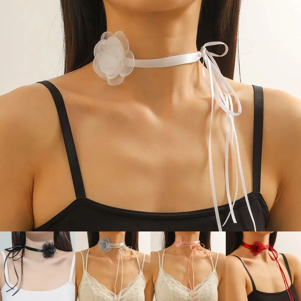 Romantic Ribbon Ros…