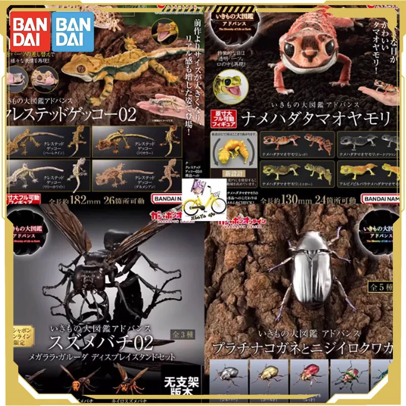 

Bandai Original Biological Atlas Anime Figure Gashapon Scarab Rainbow Spade Beetle Action Figure Toys for Boys Girls Kids Gift