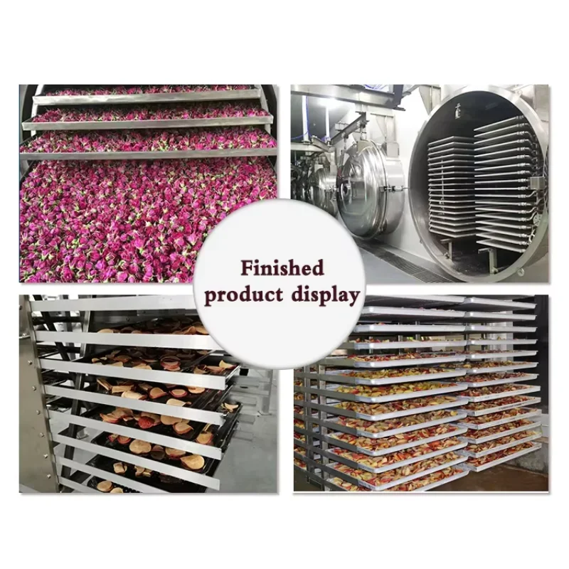 Automatic Commercial Freeze Drying Machine Sublimation Condensation Dryer Vacuum Lyophilizer Price Freeze Drying