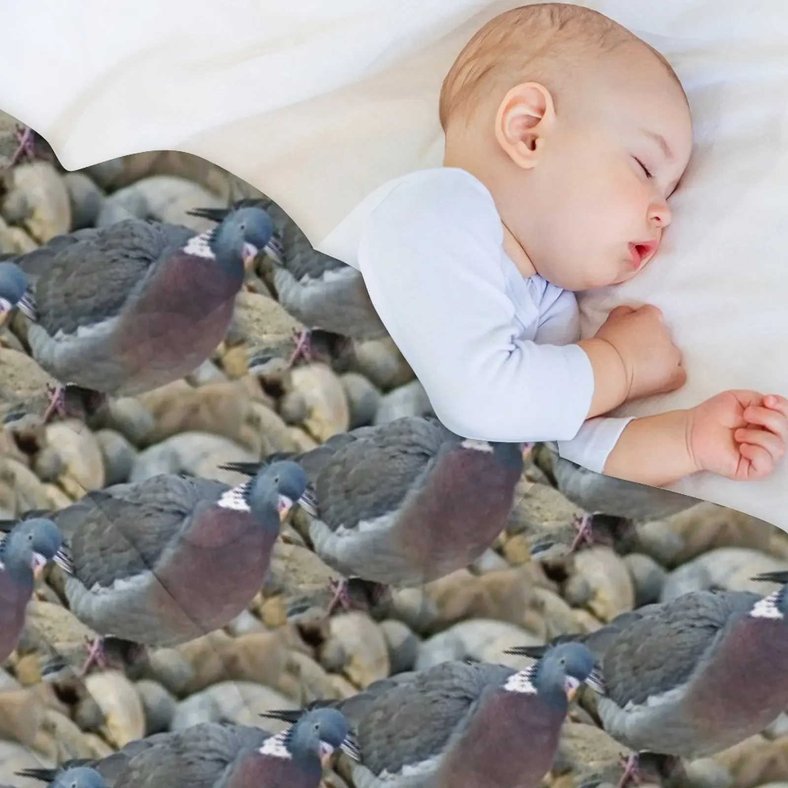 Wood Pigeon (pattern) Throw Blanket Cute Luxury Brand Summer Hairy Blankets