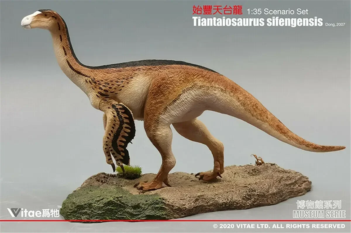 IN STOCK! Vitae 1:35 Scale Sinraptor Tiantaiosaurus Wuerhosaurus Chilantaisaurus Jinyunpelta Zhejiangosaurus Dinosaur Figure Toy