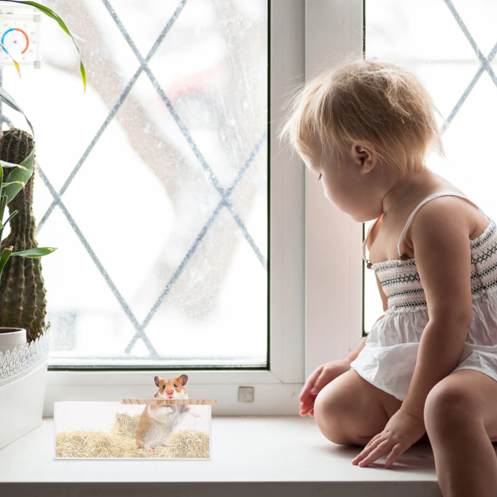 

1Pcs Sand Bath Box Acrylic Transparent Hamster Toilet Small Pets Bathtub Digging Sand Box Small Pets Toilet Acrylic Shower Basin