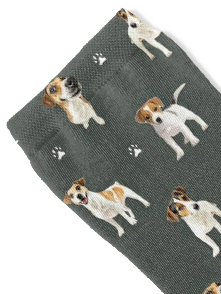 Jack Russell Terrier pattern Socks compression hockey summer winter gifts Man Socks Women's