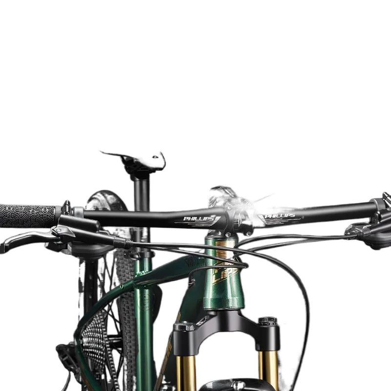 

Mountain bike adult