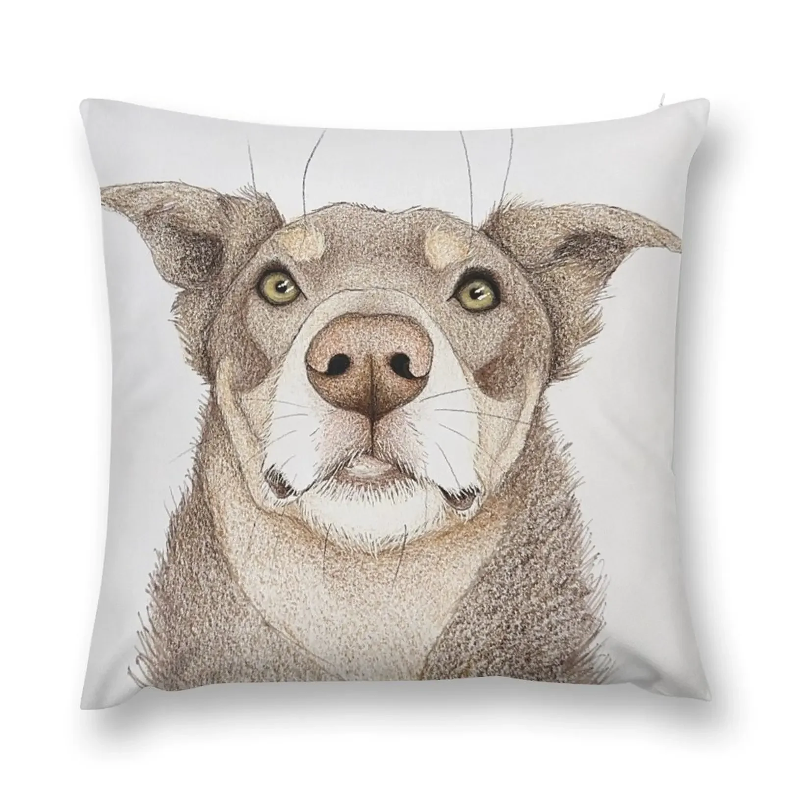 

Brutus Throw Pillow Decorative pillowcase Sofa Covers For Living Room Sofa Cover pillow