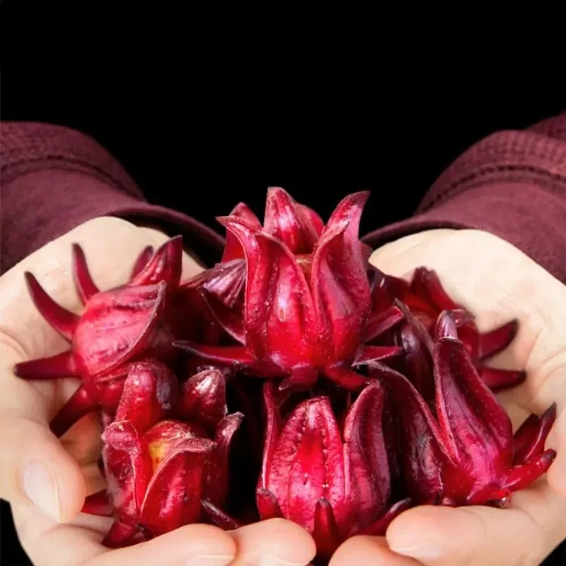 Top 100% Natural Hibiscus Dried Flowers Roselle Buds For Aromatherapy Candle Resin Jewelry Soap Making Art Craft Accessories