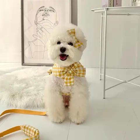 애완견 고양이 격자 무늬 조끼 스타일 견인 세트 격자 무늬 활 테디 베어 야외 스커트 가슴 스트랩 개 산책 로프 개 체인 하네스 Best5