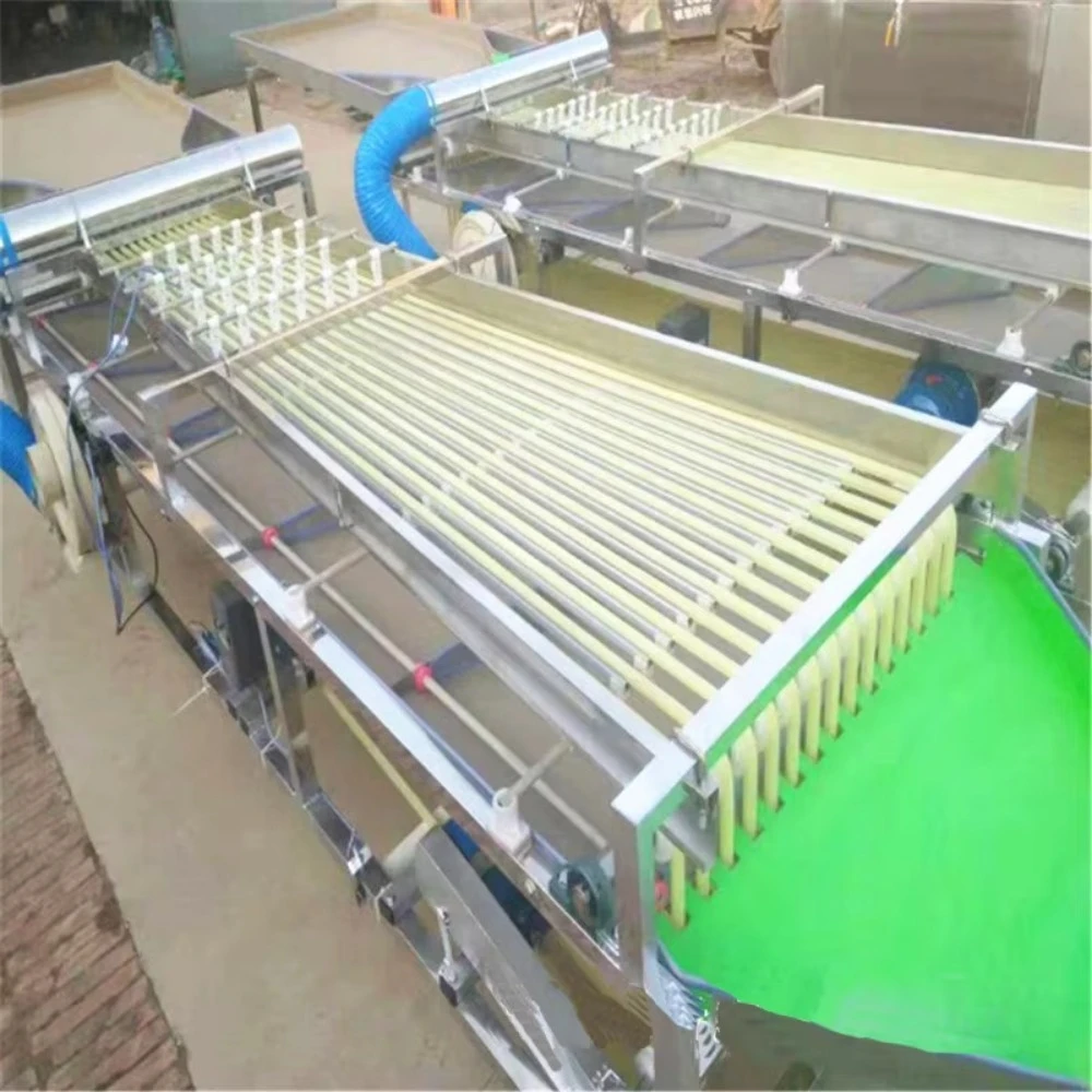Automation Grading Machine Fruit Cherry Tomato Dragon Sorting Machine Adjustable Roller for Potato Tomato Grading
