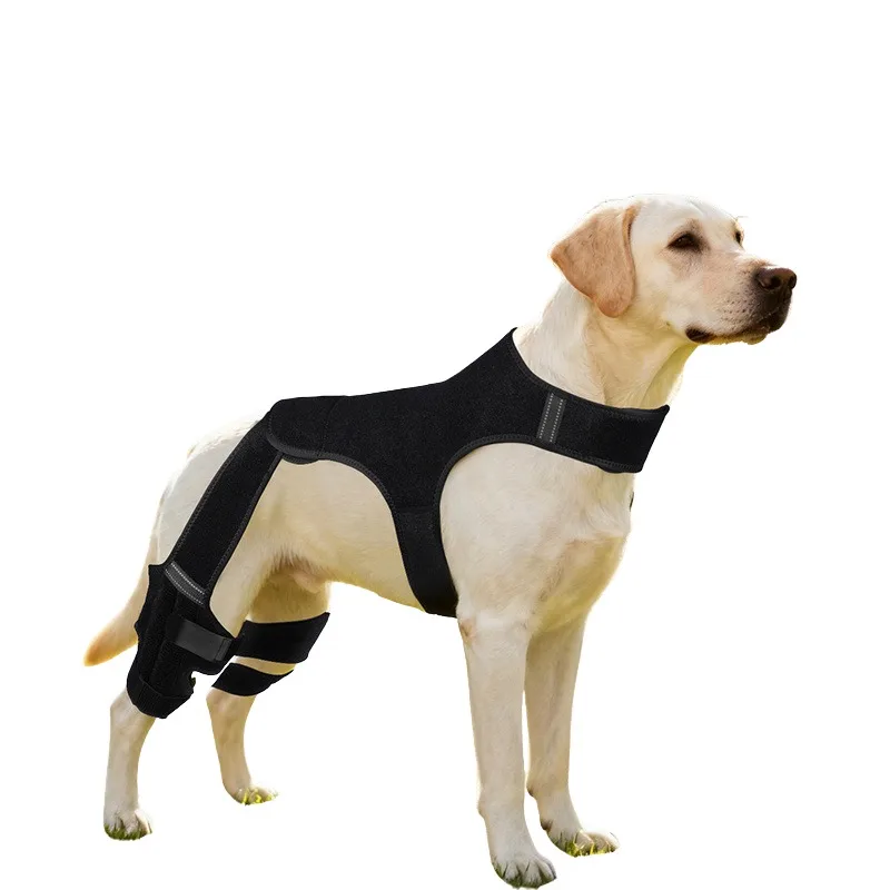 

Dog Rear Leg Brace Support Wrap Joint Protection Sleeve for Injury Recovery Arthritis Healing Pet Knee Pad Care Accessory