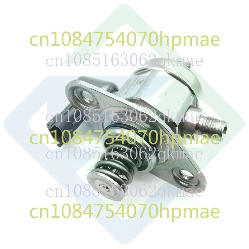 

Automobile High Pressure Fuel Pump