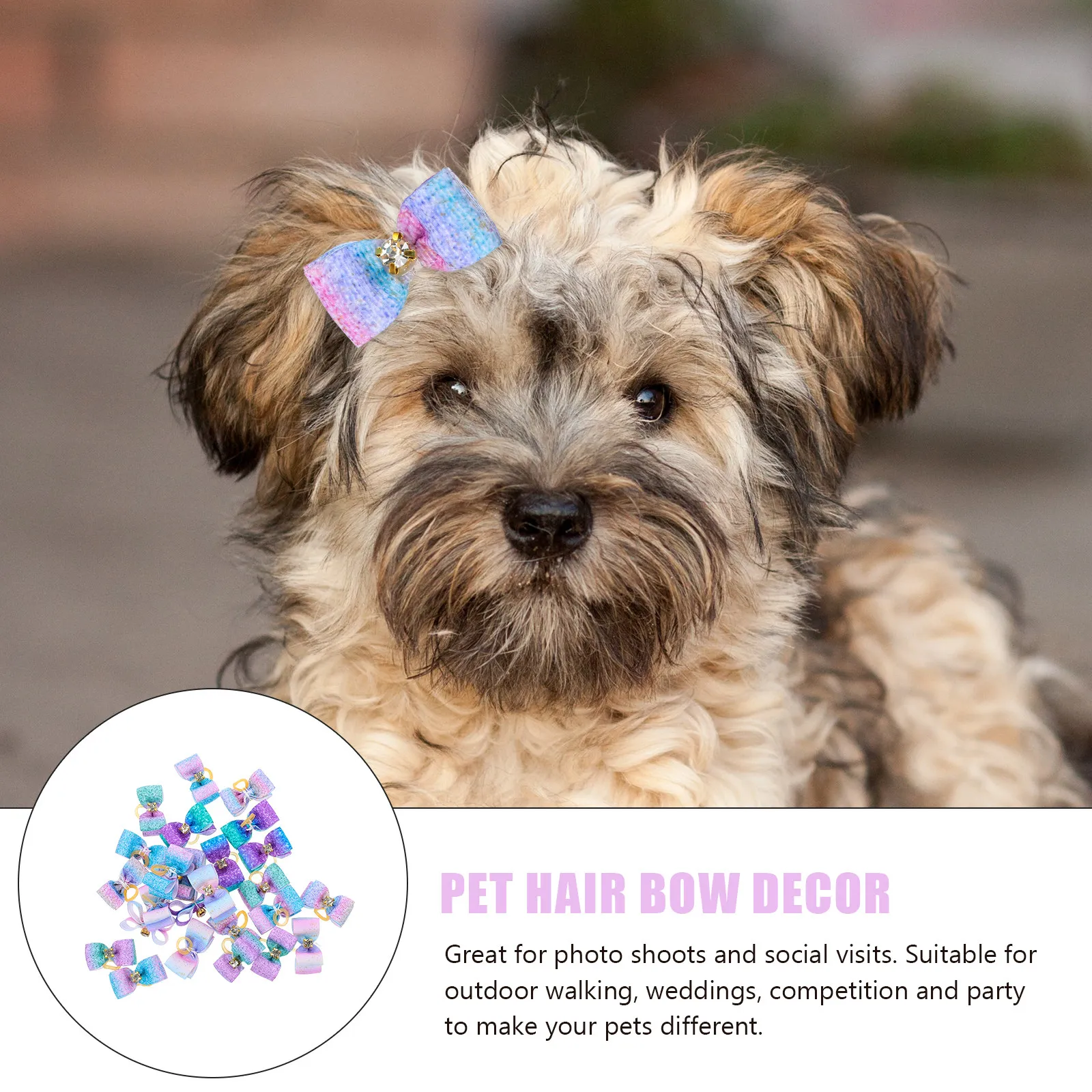 25Pcs Pet Bowknot Hair Bands Decorative Dog Cat Hair Ties Elastic Rubber Band Bow for Competition Wedding Outdoor Social Visits
