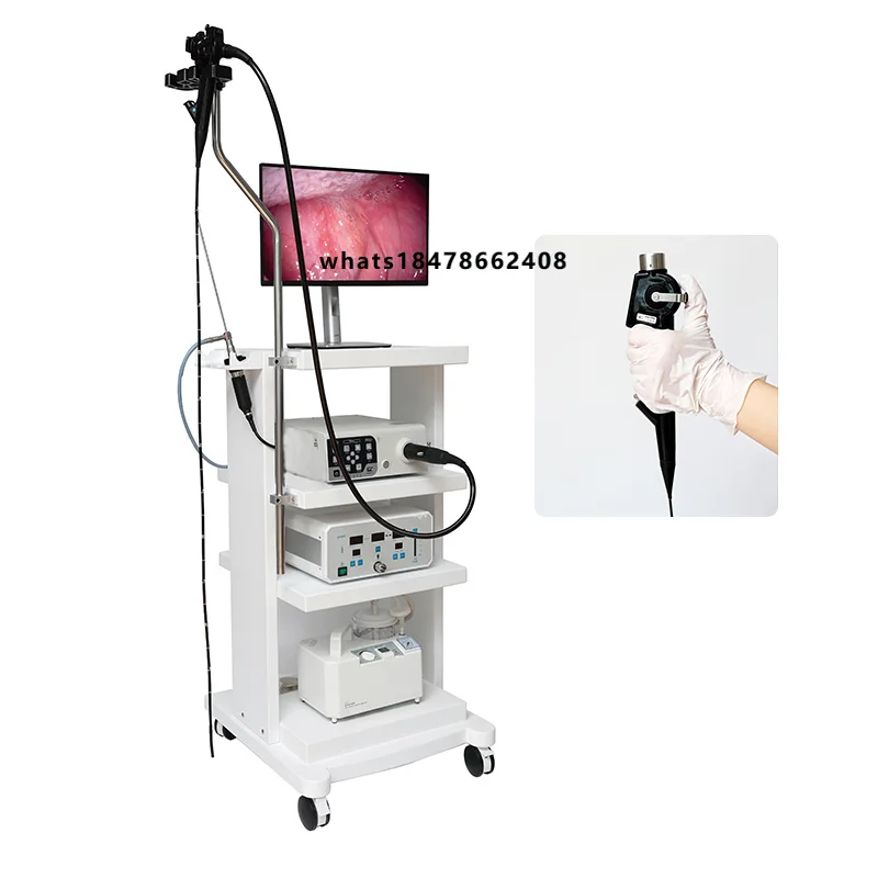 Veterinary Video Gastroscopy Medical Equipment Endoscope Machine System Endoscope System Remote Endoscope
