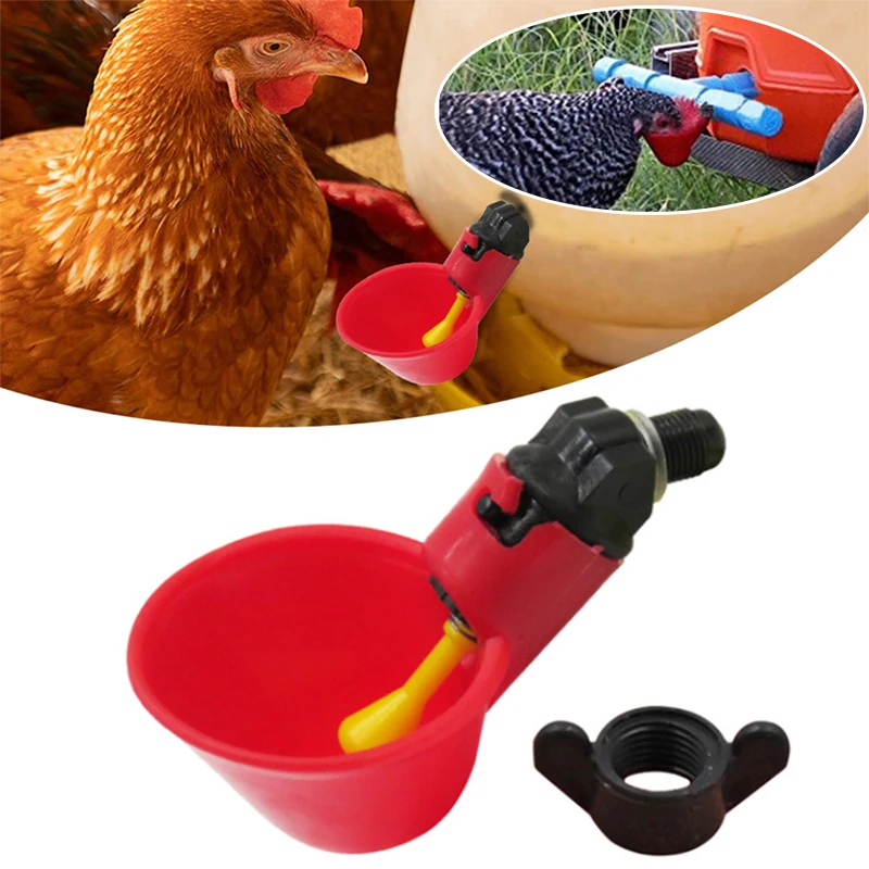 Chicken Drinker Cup Bird Feeder Water Bowl Farm Poultry Feeder Red Durable Easy To Install With Nipple Automatic Hen Water Bowl