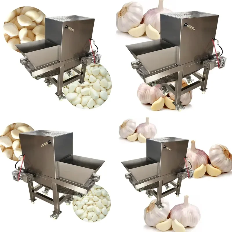 for Small Electric Chain Type Garlic Peeling Machine 304 Stainless Steel Garlic Clove Peeler