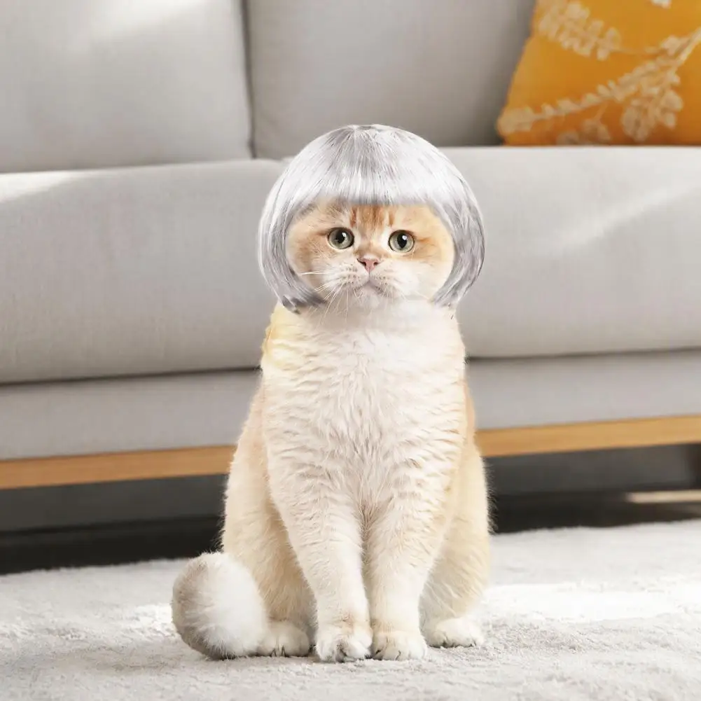 Soft Mesh Lining Pet Wig Funny Pet Wig for Dogs Cats Adjustable Elastic Band Costume Hairpiece Soft Breathable Mesh for Small