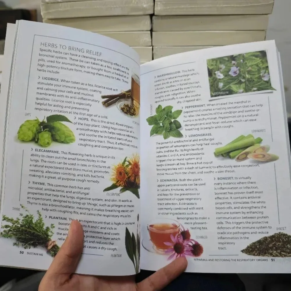 Sustain Me: The 9 Foundational Pillars for Health, A Handbook of Natural Remedies, Wellness Self‑Help Guide Book, English