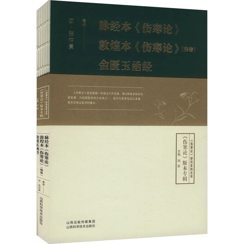 Die Meridian-Version von Treatise On Cold Damage Disorders Die Dunhuang-Version von Treatise On Cold Damage Disorders Incomplete V