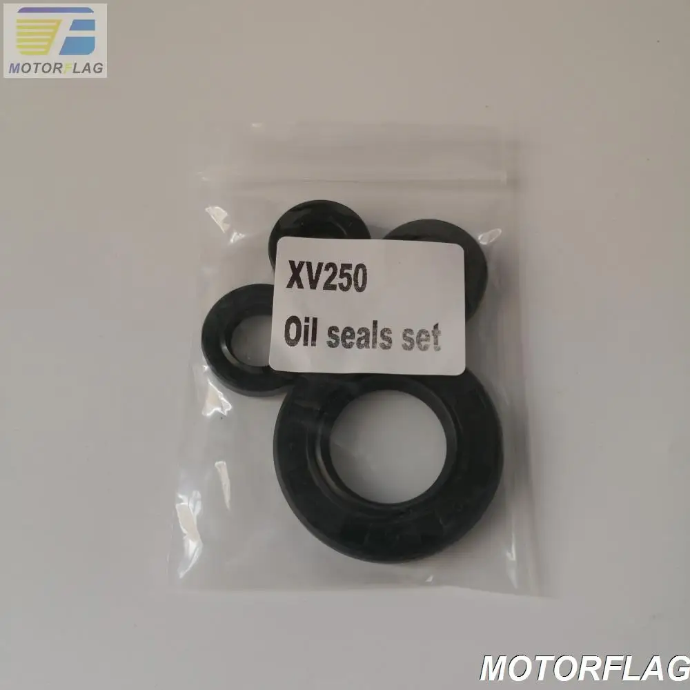 Oil Seal Set for Motorcycle Virago 250 XV250 V Star 250 Route 66