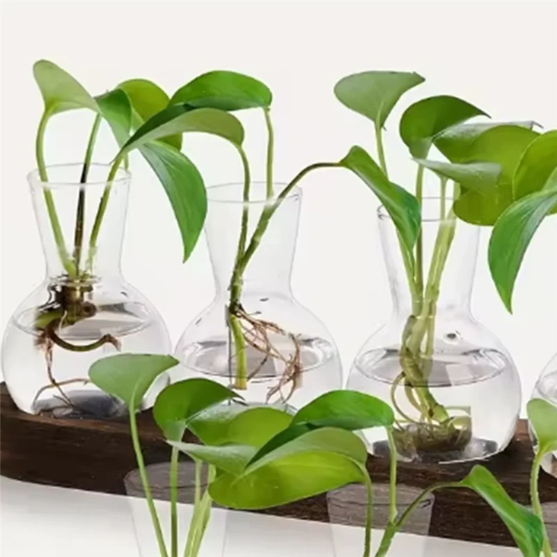 

A50U Plant Terrarium Glass Vase Modern Transparent With Wooden Tray, Indoor Desktop Decor