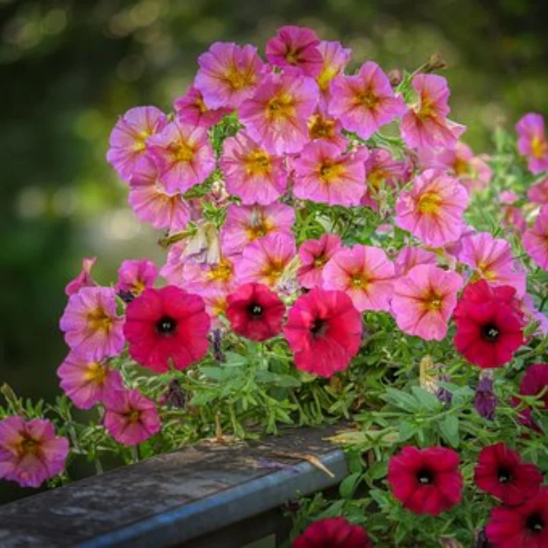 

4 шт., 118 мм, 1,9 дюйма, металлический обод колеса с бисером, набор резиновых шин для 1/10 RC гусеничного автомобиля TRX4 90046 Axial SCX10