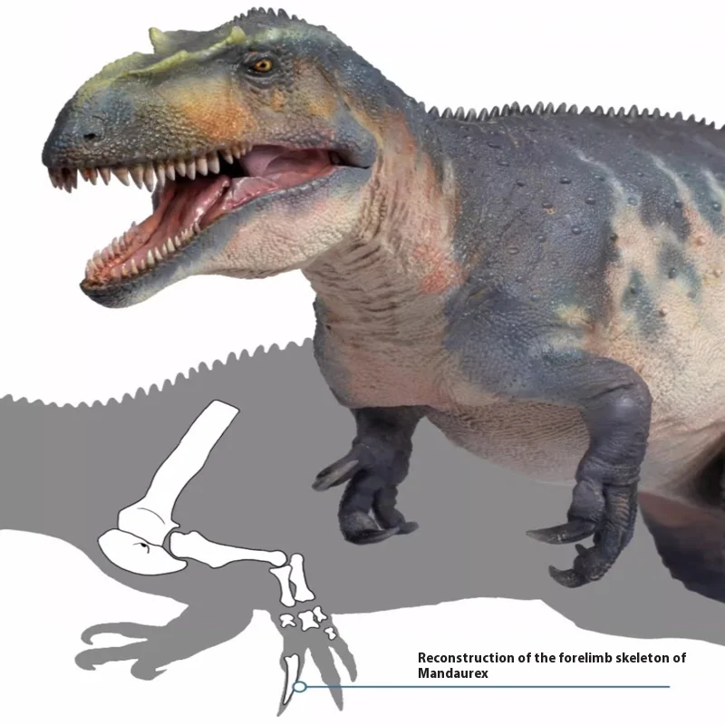 

Новый человек, длинный коннор, динозавр, король-компаньон, имитация роста, модель 48, ручные игрушки, настольные украшения, коллекция, праздничные подарки