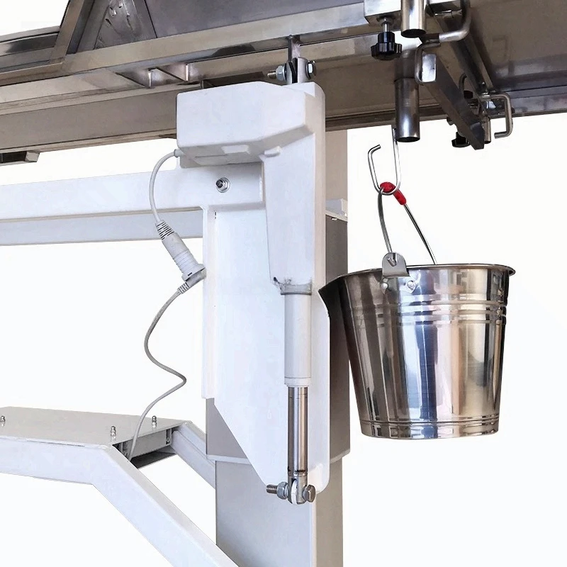 

for Clinics Veterinary Operating Veterinary Equipment ET-45 Multifunctional V-Top Surgery Veterinary Equipment