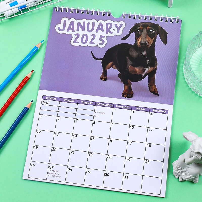 2025 Cheeky Dachshunds Wall Decoration Calendar, Personal Planning Date, Suitable for Office, Home 12-Month Desk Calendar