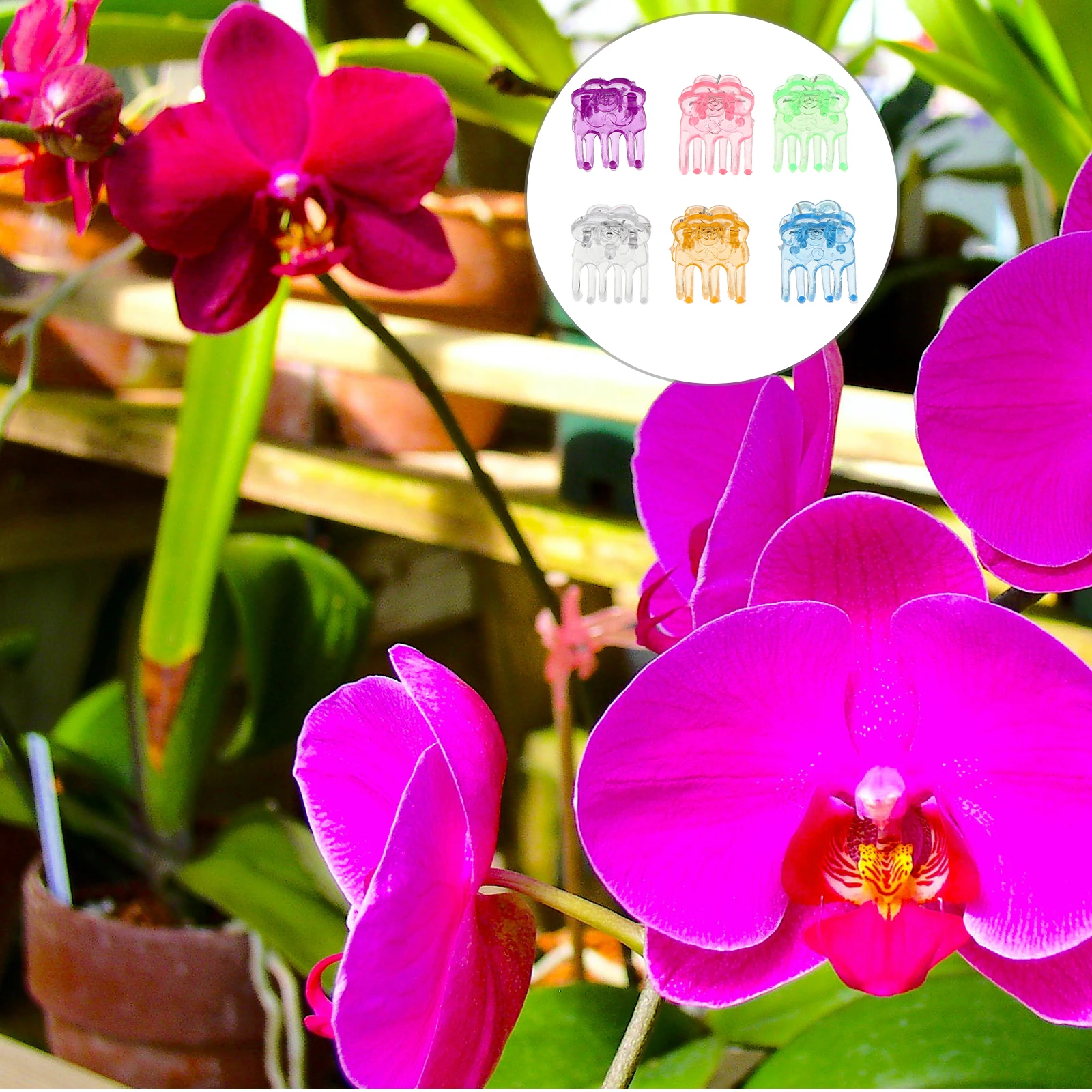 

60pcs Orchid Support Sticks Clips Plant Phalaenopsis Climbing Plants Gardening Tools Premium Material Long Term Use Small Size